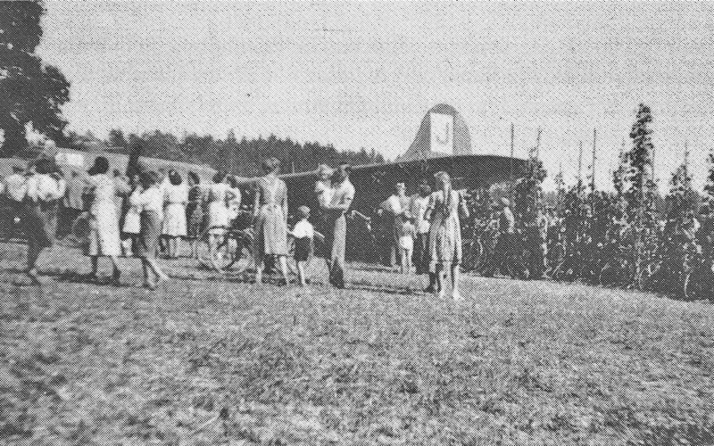 Bei der Landung des Bombers war eine Frau gerade beim Bohnenpflücken. Sie stülpte sich den Korb über den Kopf und kam erst später wieder unter dem Flügel des Bombers hervor. (215_1)