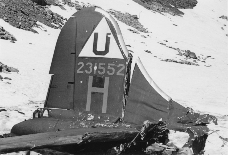 Das Seitenleitwerk der abgestürzten B-17 Flying Fortress. (274_1)