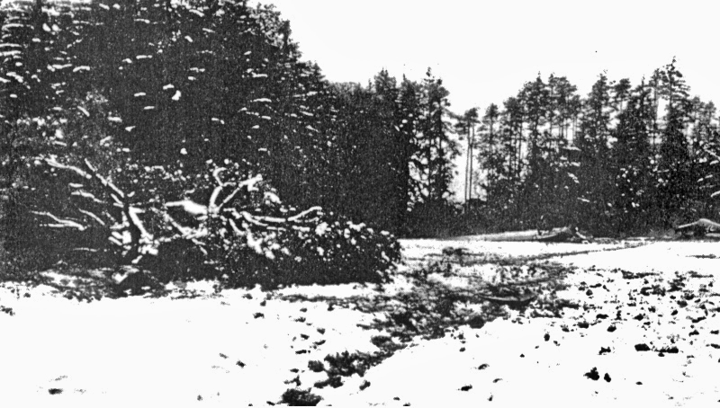 Absturzstelle der He-111 bei Kemleten. Links die geköpfte Krone des Birnbaumes. (7_1)