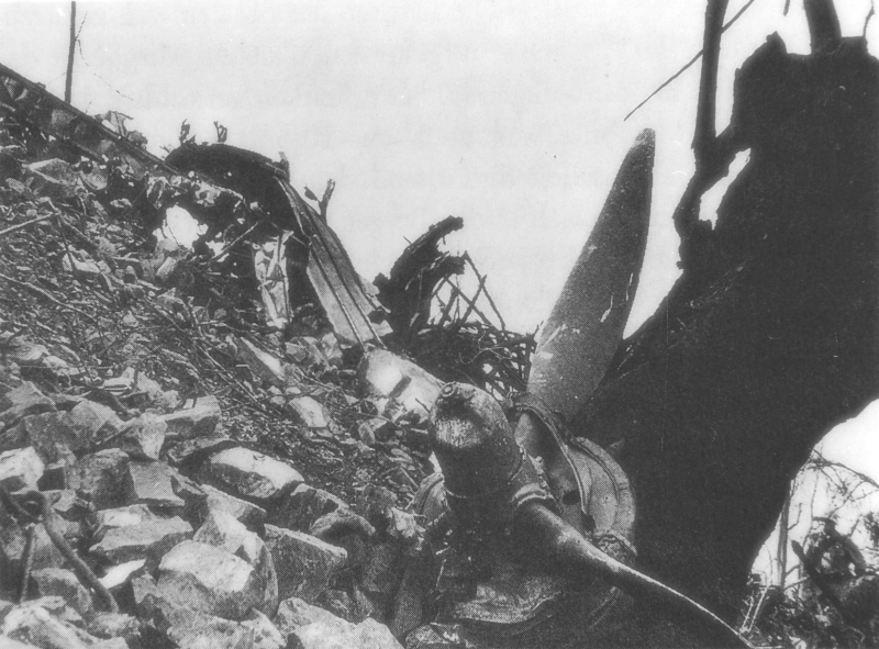 Die Trümmer der Lancaster im Steilhang des Grammont bei Le Bouveret. (95_1)