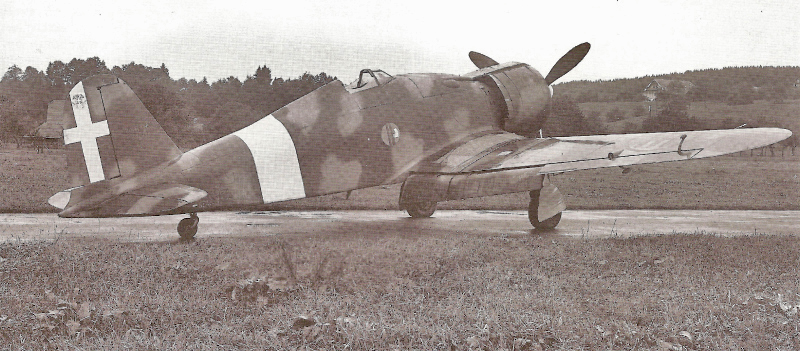 Die Fiat G.50 kurz nach der Landung in Emmen. (71_1)
